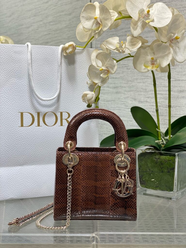 Dior- Lady Dior-Limited Leather Edition