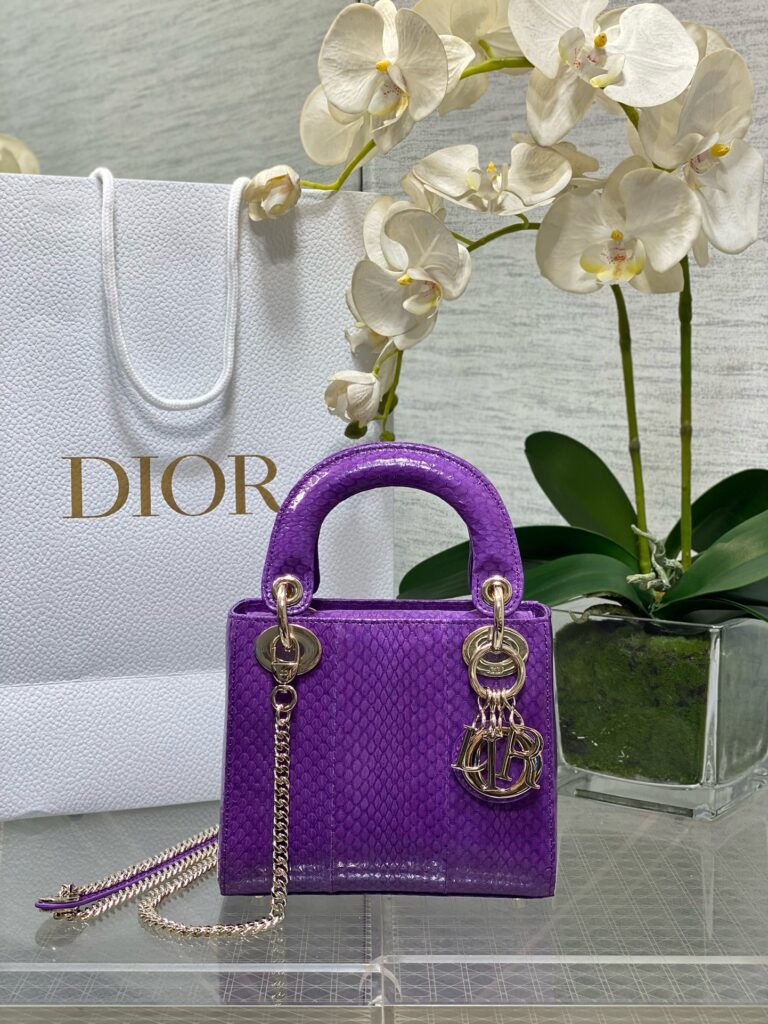 Dior- Lady Dior-Limited Leather Edition