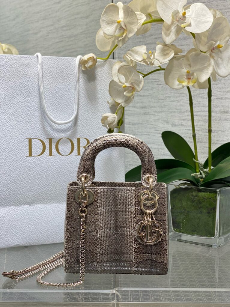 Dior- Lady Dior-Limited Leather Edition