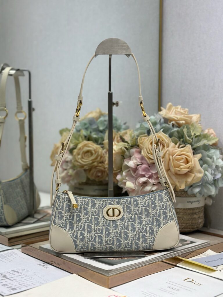 Dior-30 Montaigne Wanderlust-Shoulder bag-Embroidery