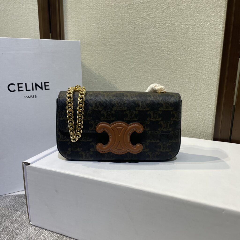 Celine-Triomphe Canvas-110972